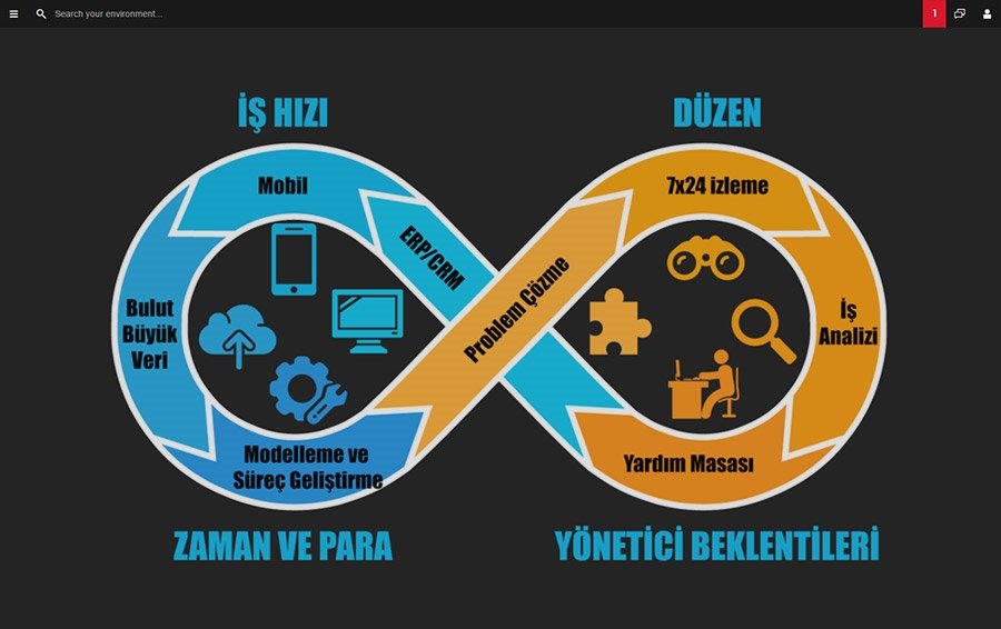 Bilgi Sistemleri Performans Yönetim Danismanligi